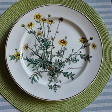 V&B BOTANICA  Speiseteller