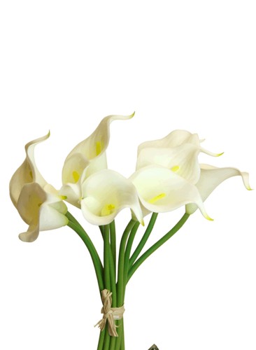 Künstliche calla - künstliche,