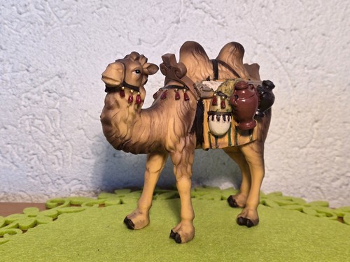 Neu kamel stehend mit - neu,
