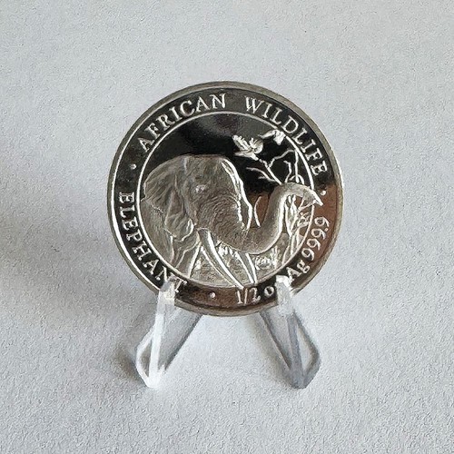 African wildlife 2018 - african,