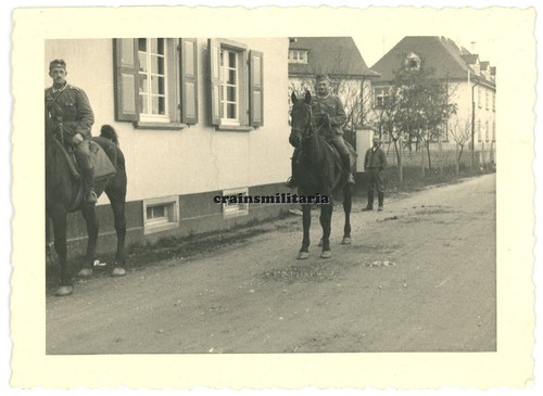 Orig foto reiter mit pferd - reiter, in