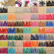 Gänse Biot Federn bunte