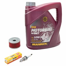 4L Öl Inspektionspaket für