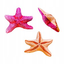 Fischkissen Verschiedene Muster Modern Gemütlich Attraktiv für Kinder Neu