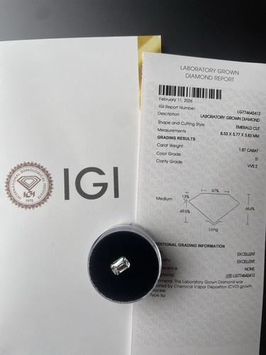 Igi labor diamant ct d - igi, 1,87