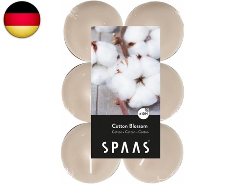 Spaas maxi teelichter - maxi, teelichter,