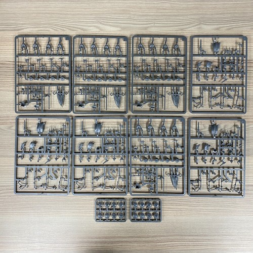 Chaos marauders warhammer - 16,