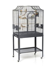 Vogelkäfig Madeira von Montana (gebraucht)