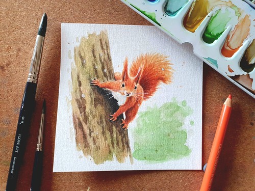 Aquarell eichhörnchen - aquarell,