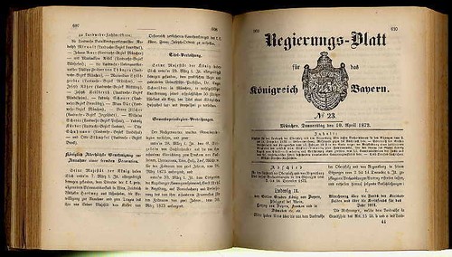 1873 regierungs blatt für das - für,