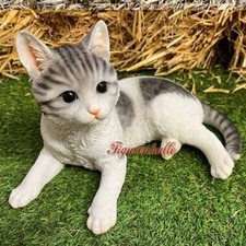 Katze Katze liegend melierte