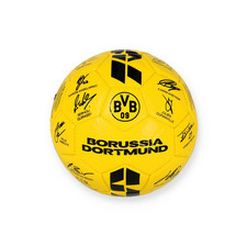 Borussia dortmund bvb - borussia,