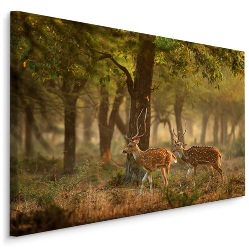 Canvas leinwand bilder xxl - leinwand,