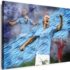 BILDER Leinwand Sport Fußball