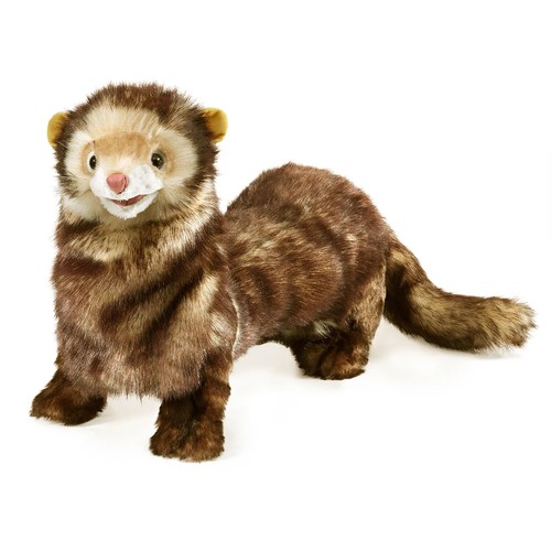 Frettchen ferret von - frettchen,