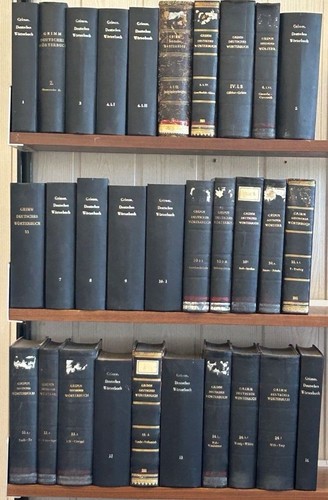 Deutsches wörterbuch 30 - deutsches,