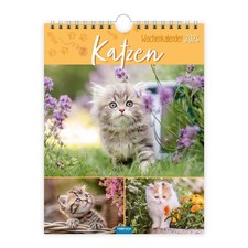 Trötsch Wandkalender 2026