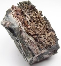 SILBER  ged. Silber auf Quarz und Schiefer Schneeberg Erzgebirge Sachsen  !!!