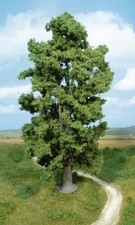 1 Felsenahorn 30 cm von HEKI