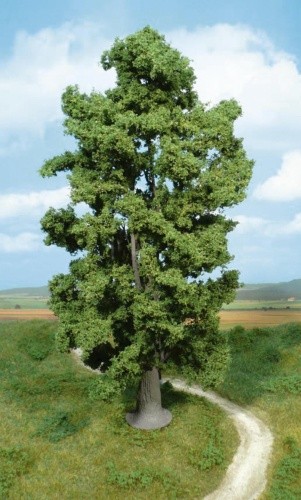 Felsenahorn von heki - felsenahorn,