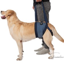 Hundetragetasche Hunde