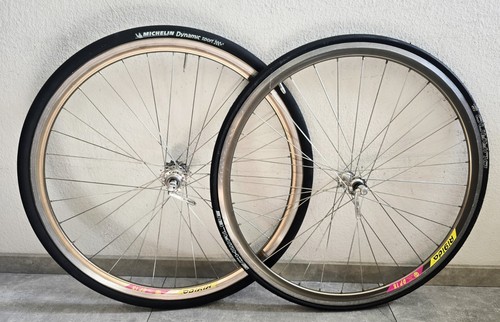 Rigida goldener kante - /, kante/