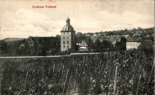 Gruss aus oestrich winkel - ak,