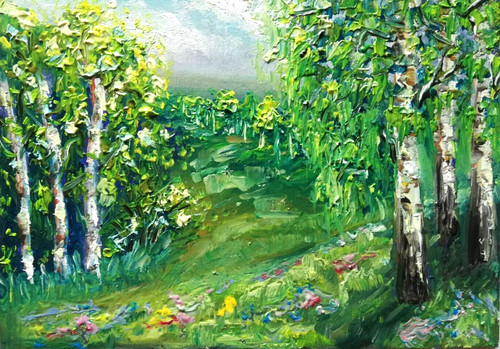 Birken wald landschaft - birken,