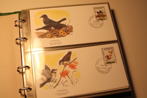 Flora and fauna - fauna, world