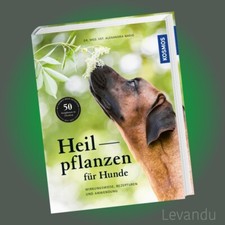 HEILPFLANZEN FÜR HUNDE | Wirkungsweise, Rezepturen und Anwendung - Naturmedizin