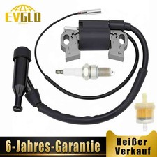 Zündspule Modul mit