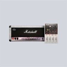 Marshall Silver Jubilee 2555