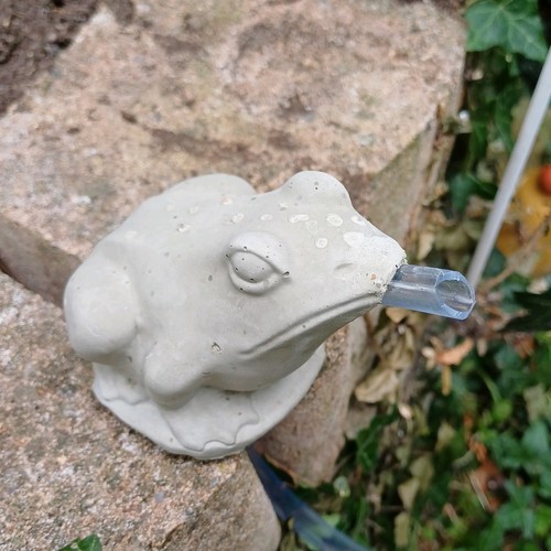 Frosch wasserspeier beton für - frosch,