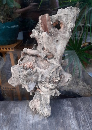 Treibholz schwemmholz - xl,