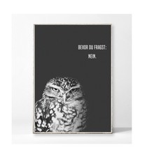 Kunstdruck Eule Nein Poster