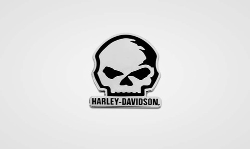 Harley davidson pin - willie, g