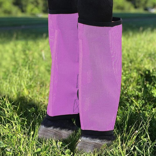 Beinschutz horse care - 4x,
