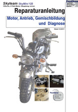 Reparaturanleitung RIS für