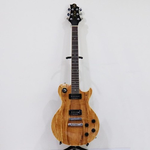 Greg bennett les paul - bennett,