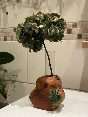 Reagenzglas vase holz - vase,