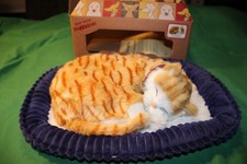 Perfect Petzzz ORANGE TABBY