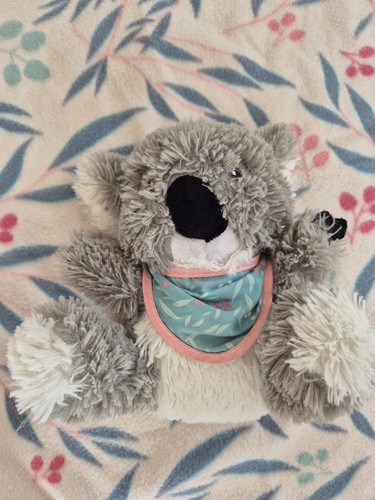 Koala kuscheltier mit - koala,