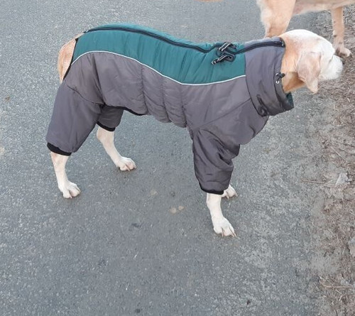 Hundemantel hundejacke outdoor - hundemantel,