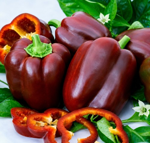 Paprika zvezda vostoka - zvezda,