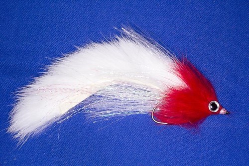 Fliegentom 1719