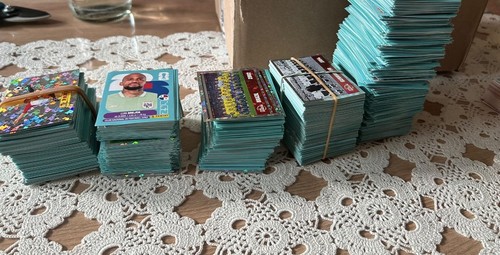 Panini fifa sticker - panini,