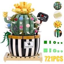 721 Stück Kaktus Blumen