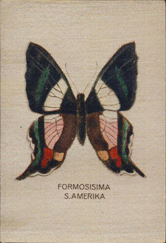 1910 sulima seidenbild - ~1910,