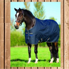 Amigo bravo turnout medium - amigo,