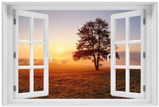 Wallario Poster mit Fenster-Illusion Sonnenaufgang Wiese Nebel Herbst Sommer
